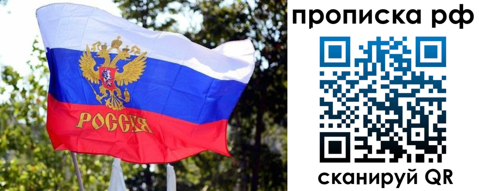 временная регистрация надежно в Долгопрудном